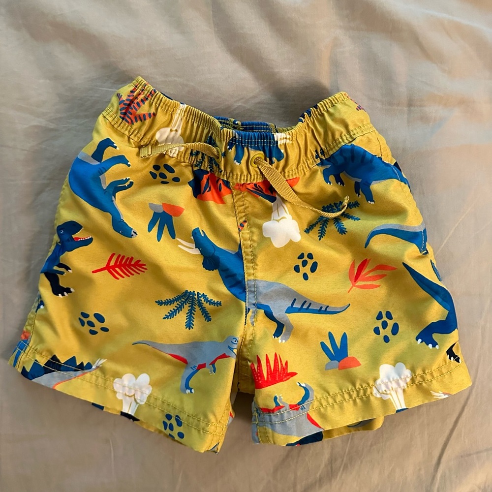 Hanna Andersson 2T swim trunks